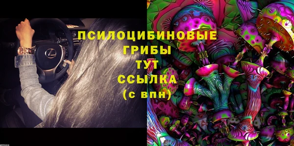 мескалин Арсеньев