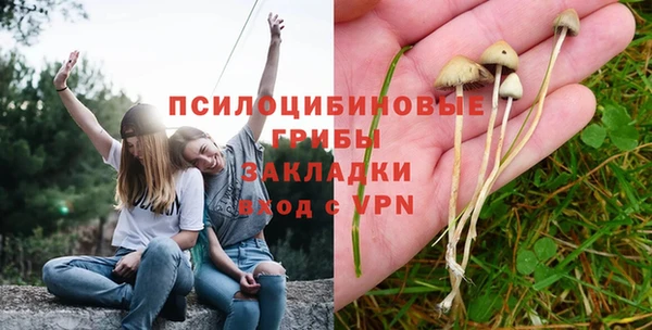мескалин Арсеньев