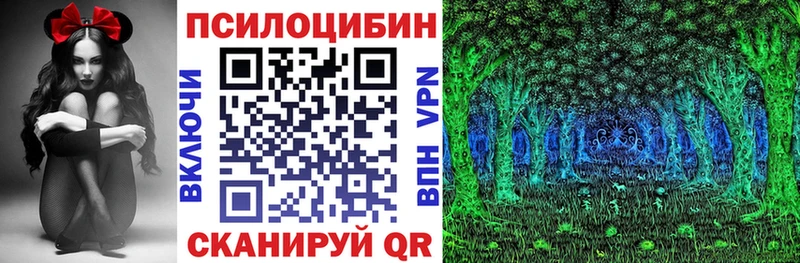 Галлюциногенные грибы Cubensis  как найти закладки  Североморск 
